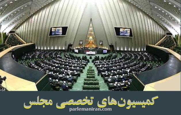 بررسی آخرین دستاوردهای سازمان انرژی اتمی در دستور کار کمیسیون های تخصصی مجلس