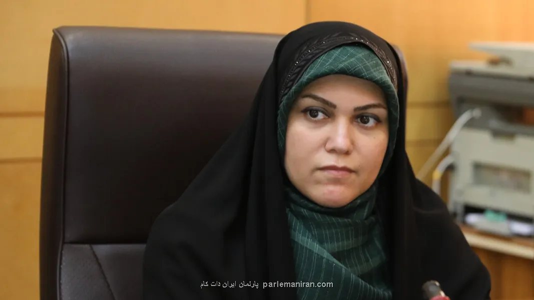 رییس فراکسیون زنان و خانواده مجلس در کنفرانس جهانی از مدرسه میناب گفت