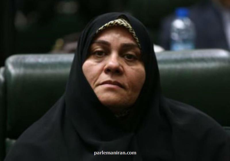 جلسه مجازی اصلاح طلبان مجلس زیر سایه كرونا