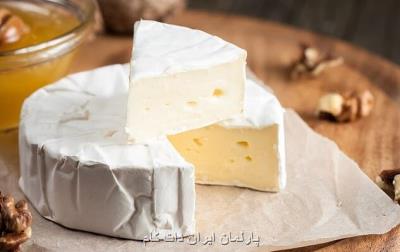 بالا رفتن قیمت لبنیات به علت افزایش نرخ نهاده ها است